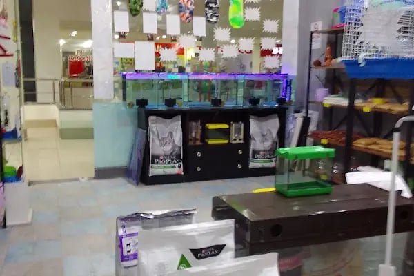 Atasoy petshop - Resim 4