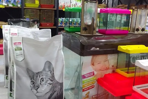 Atasoy petshop - Resim 3