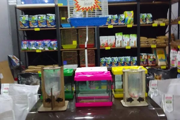 Atasoy petshop - Resim 5