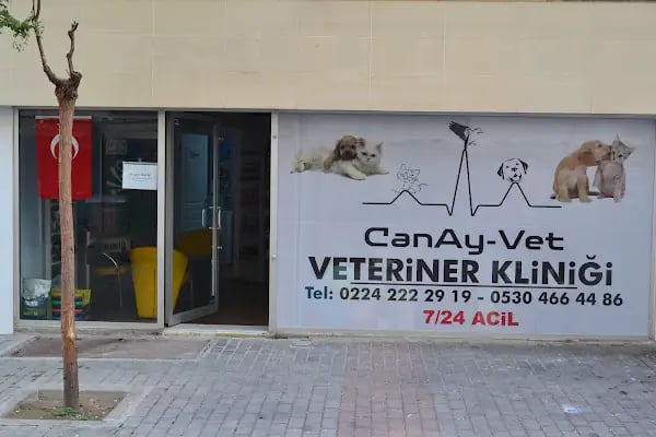 CanAy-Vet Veteriner Kliniği - Resim 15
