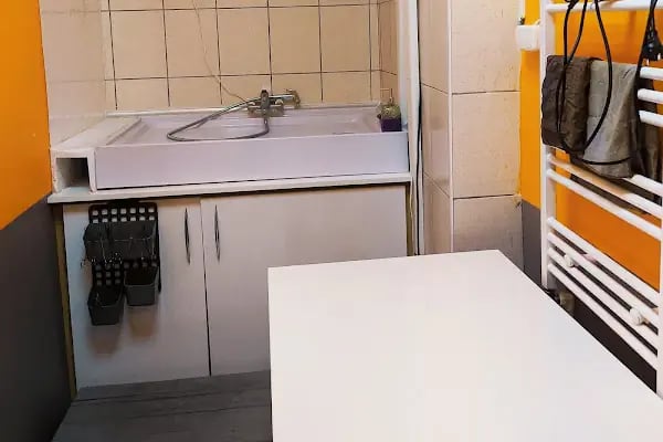 CanAy-Vet Veteriner Kliniği - Resim 6