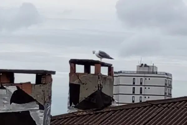 Adalı Sitesi - Resim 3
