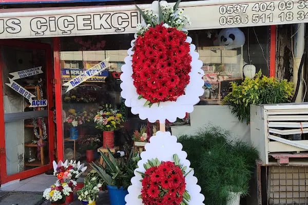ULUS ÇIÇEKÇILIK - Resim 2