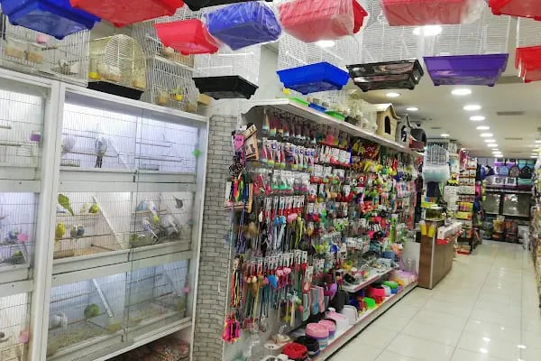 Puhu Petshop - Resim 2