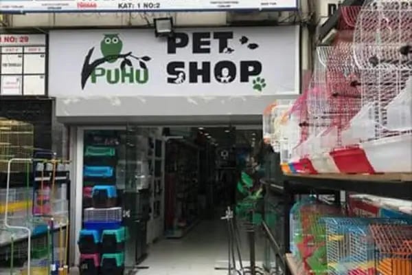 Puhu Petshop - Resim 6