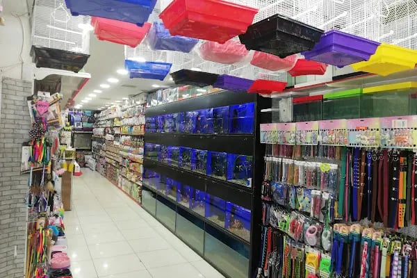 Puhu Petshop - Resim 4