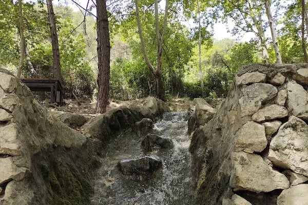 Dağılcak Tabiat Parkı - Resim 10