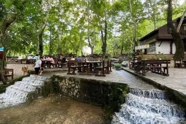 Dağılcak Tabiat Parkı - Resim 5