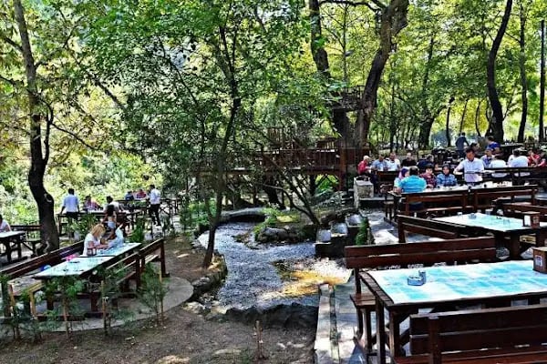 Dağılcak Tabiat Parkı - Resim 7