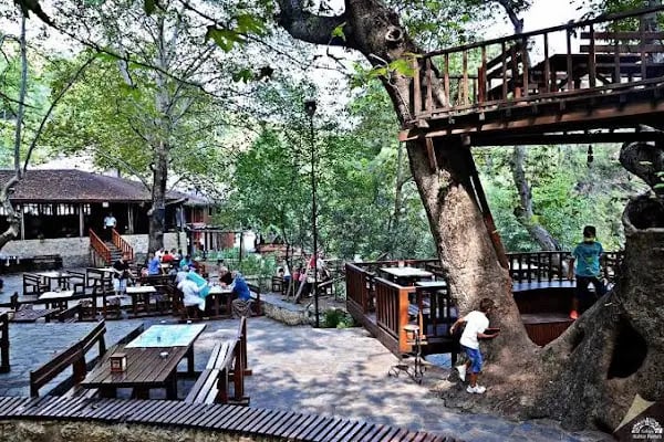 Dağılcak Tabiat Parkı - Resim 4