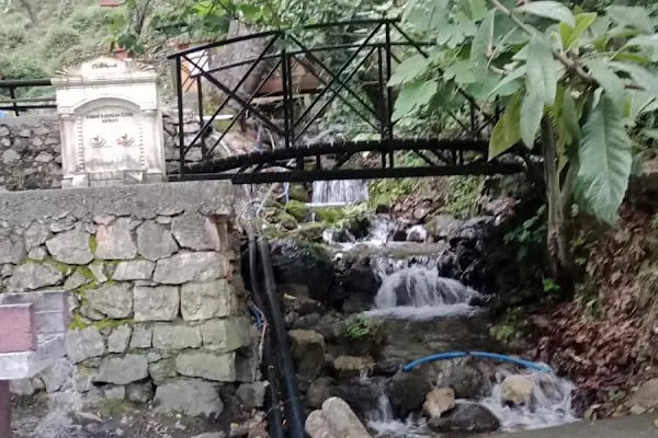 Dağılcak Tabiat Parkı - Resim 6