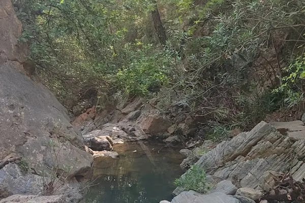 Dağılcak Tabiat Parkı - Resim 15
