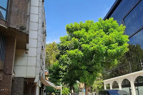 Çankaya - Gazi Bulvarı Tramvay Durağı - Resim 14