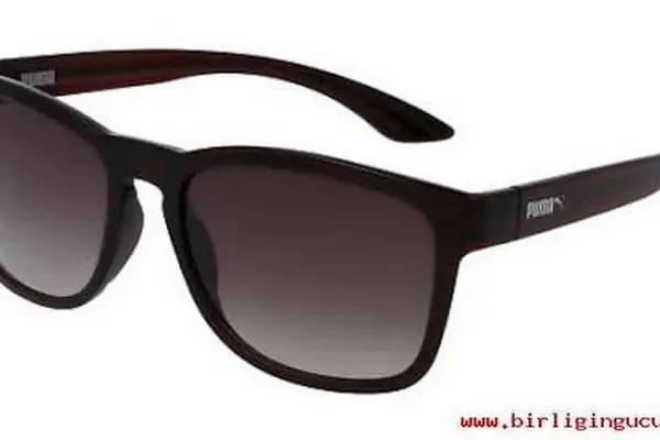 Güneş Optik - Resim 3