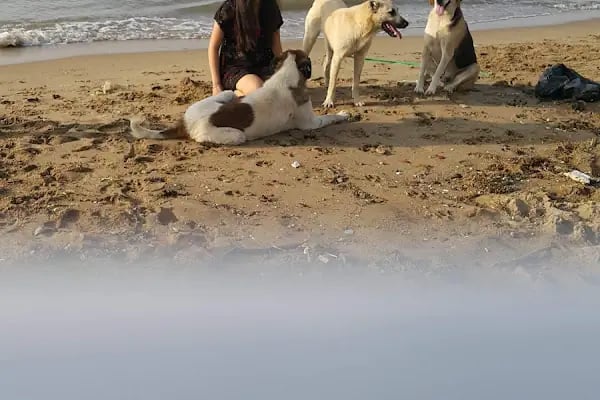 Akraba Beach - Resim 12