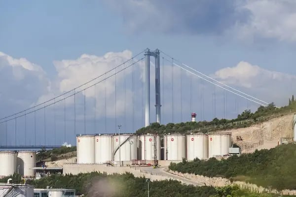 Altıntel Liman Ve Terminal İşletmeleri - Resim 5