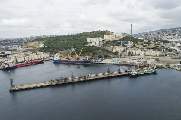 Altıntel Liman Ve Terminal İşletmeleri - Resim 6