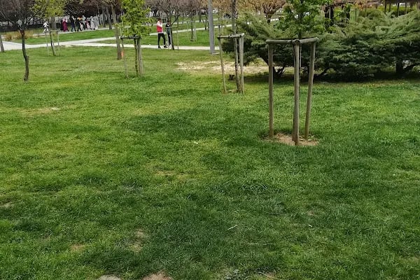 İBB Cebeci Spor Kompleksi - Resim 10