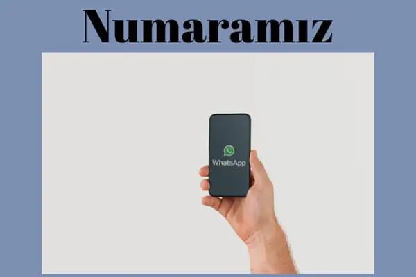 Zeytin Diş Polikliniği GEMLİK - Resim 9