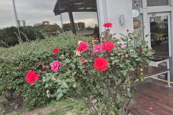 Sundance Hotel Istanbul - Resim 12