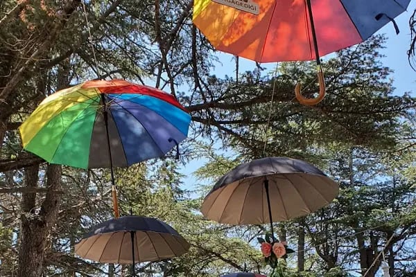 Cedrus life kamp ve karavan alanı - Resim 6