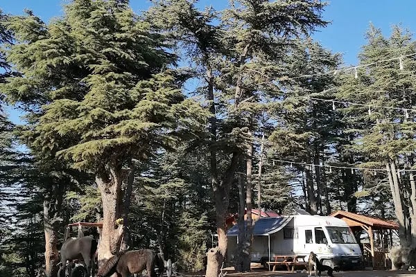 Cedrus life kamp ve karavan alanı - Resim 5