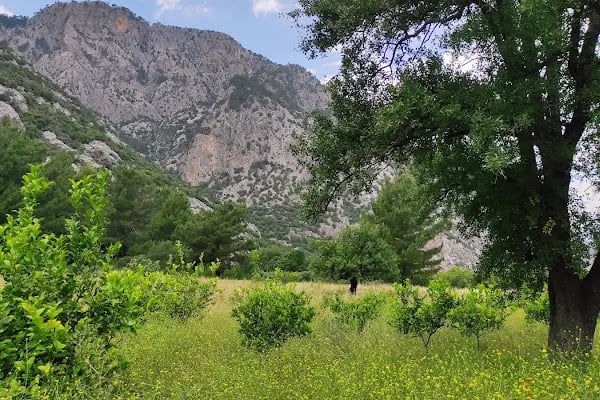 Beydağları Sahil Milli Parkı - Resim 5