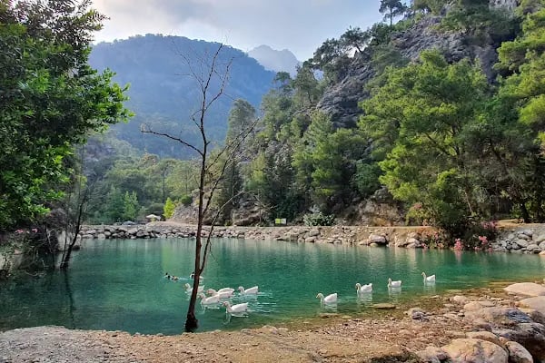 Beydağları Sahil Milli Parkı - Resim 18
