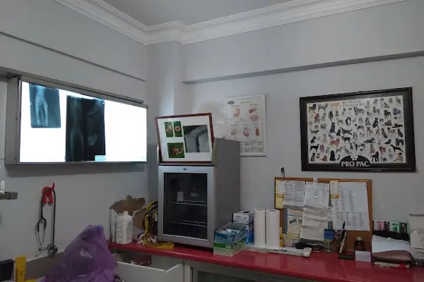 Cemre Veteriner Kliniği - Resim 12