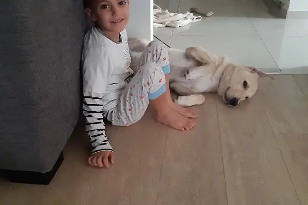 Cemre Veteriner Kliniği - Resim 18