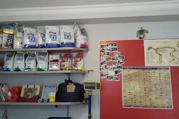 Cemre Veteriner Kliniği - Resim 9