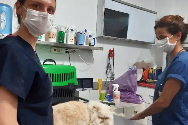 Cemre Veteriner Kliniği - Resim 17