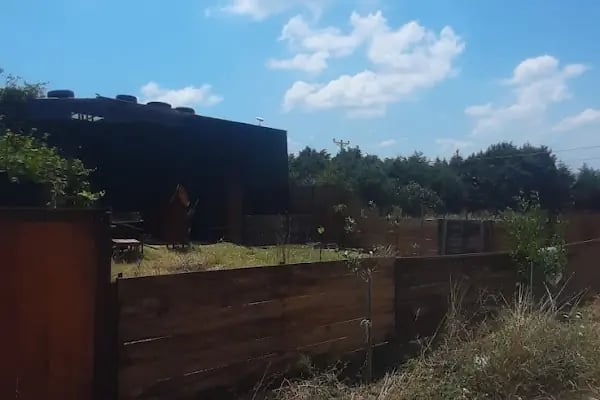 Poyraz atlı binicilik spor kulübü - Resim 3
