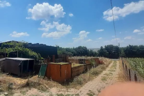 Poyraz atlı binicilik spor kulübü - Resim 4