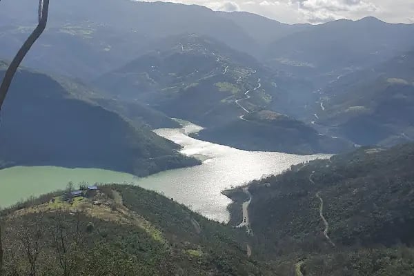 Çamlıtepe Restaurant - Resim 10