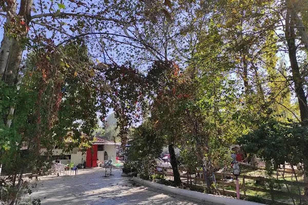 Çamlıtepe Restaurant - Resim 17