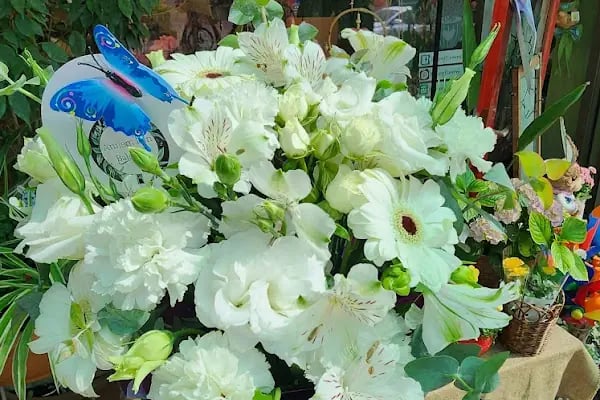 Balcony Flowers - Resim 8
