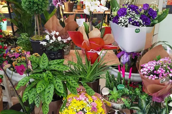 Balcony Flowers - Resim 1
