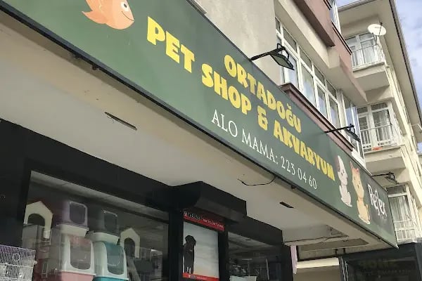 Angora Akvaryum &amp; Petshop - Resim 2