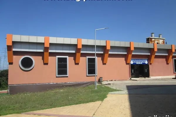 Sakarya Üniversitesi Besyo - Resim 9