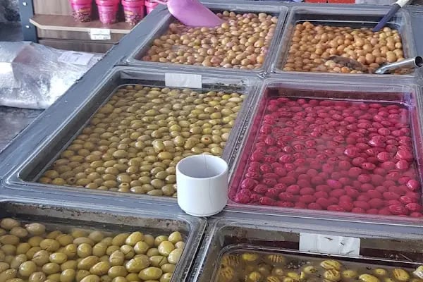 Alkan Zeytin Gemlik Zeytini ve Gemlik Zeytinyağı - Resim 19