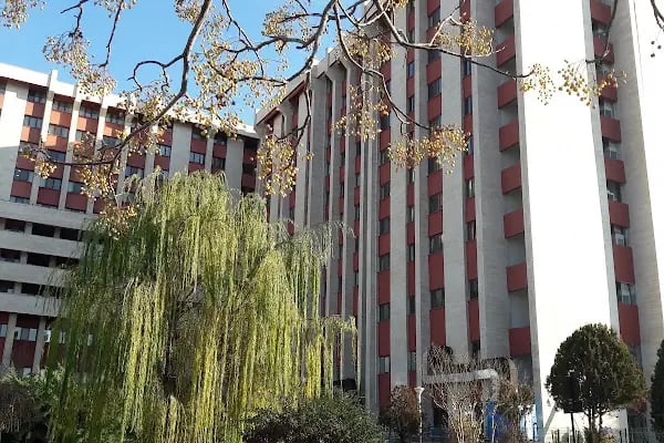 Trakya Üniversitesi - Resim 2