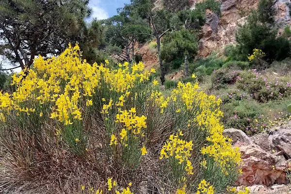 Adalar trekking parkuru - Resim 18