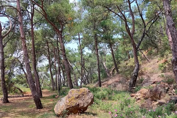 Adalar trekking parkuru - Resim 3