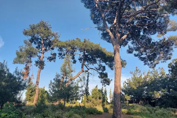 Adalar trekking parkuru - Resim 11