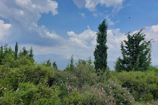 Adalar trekking parkuru - Resim 6