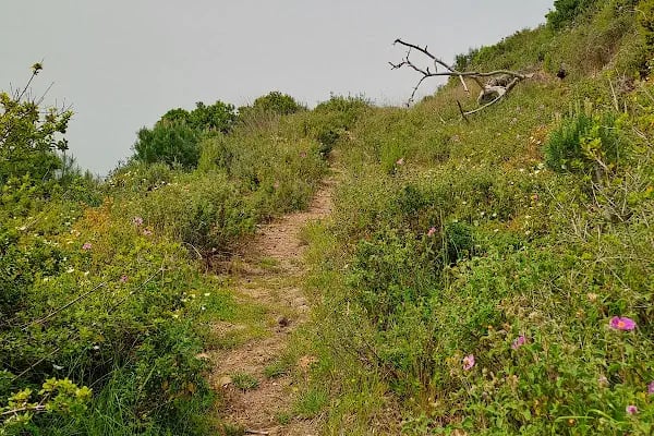 Adalar trekking parkuru - Resim 13