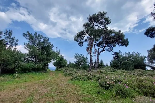 Adalar trekking parkuru - Resim 7