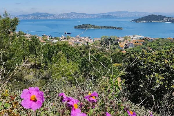 Adalar trekking parkuru - Resim 10