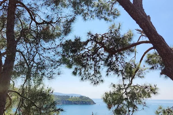 Adalar trekking parkuru - Resim 9